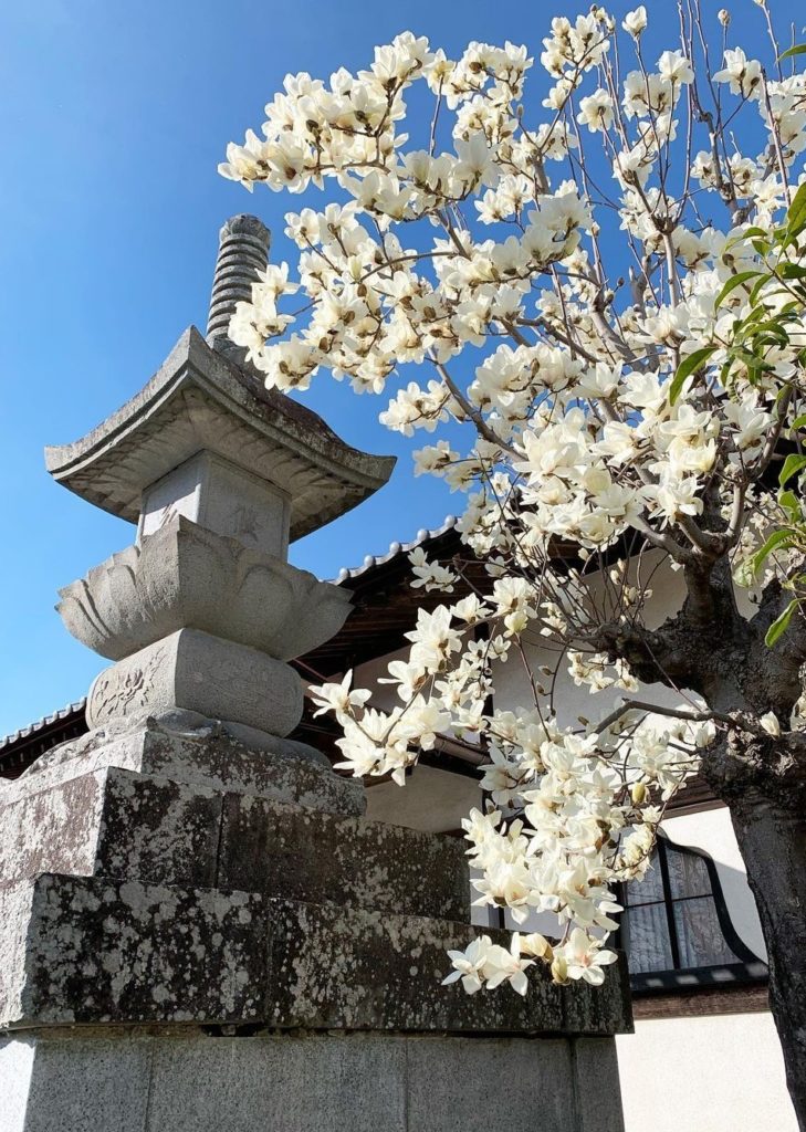 能満寺の境内の経塔と花(山梨県甲府市)