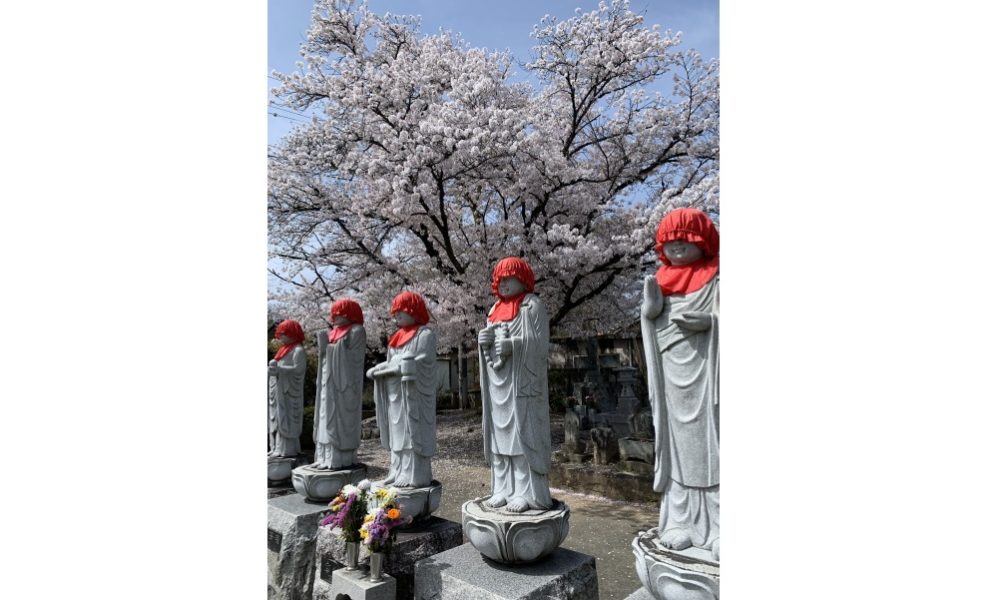 春の山梨県甲府市の能満寺境内